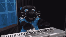 Carolina Panthers Sir Purr GIF - Carolina Panthers Sir Purr Keyboard Cat GIFs