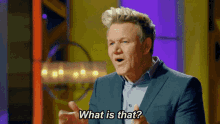 Gordon Ramsey What Is That GIF - Gordon Ramsey What Is That What Are You Doing GIFs