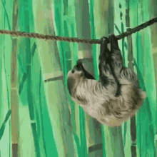 Sloth Mine GIF - Sloth Mine Funny Animals GIFs