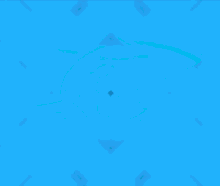 shark logo title flash appear shark logo title flash appear