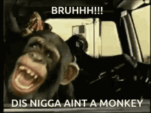 Monkey Not Monkey GIF - Monkey Not Monkey Disniggaaintmonkey GIFs