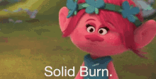 Burn Solid GIF - Burn Solid Troll GIFs