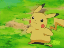 Pokemon Buneary GIF - Pokemon Buneary Pikachu GIFs