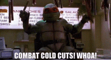 Tmnt Michelangelo GIF - Tmnt Michelangelo Combat Cold Cuts GIFs