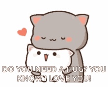 Hug Peach Cat GIF - Hug Peach Cat Cat GIFs