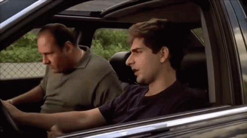 the-sopranos-tony-soprano.gif