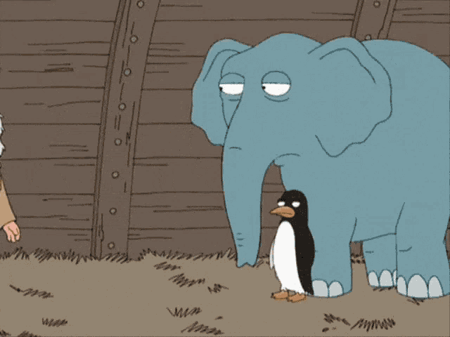 Meme What The Hell Is This GIF - Meme What The Hell Is This Elephant GIFs