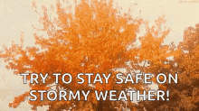 Try To Stay Safe Stay Safe On Stormy Weather GIF - Try To Stay Safe Stay Safe Stay Safe On Stormy Weather GIFs