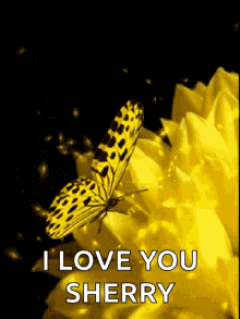 Yellow Butterfly GIF - Yellow Butterfly Flowers GIFs
