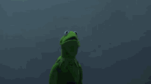 Kermit Sith GIF - Kermit Sith GIFs