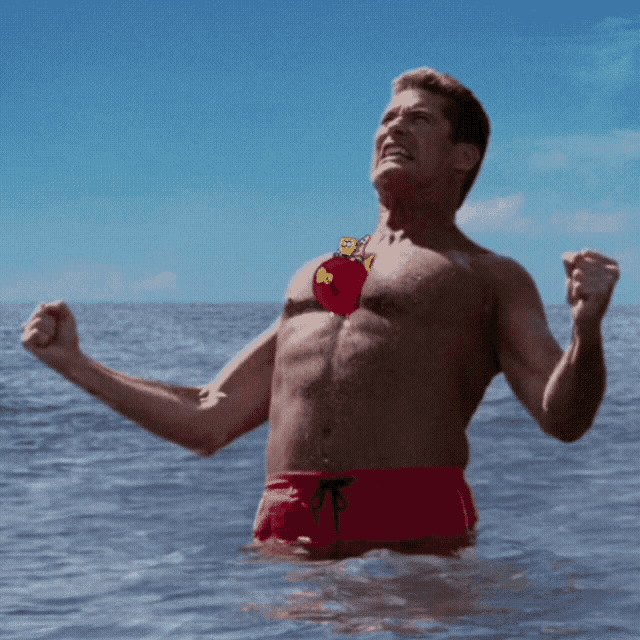David Hasselhoff Pecs GIF.