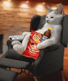 Netflix And Chill Cat GIF - Netflix And Chill Cat Kitten GIFs