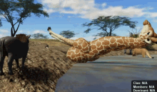 giraffe exploiter