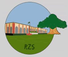 rzs zilla school rangpur zilla school school zone