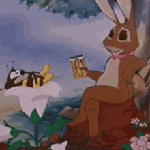 Oops Interrupted GIF - Oops Interrupted Bunny GIFs