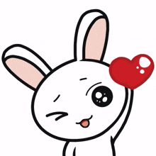 animal bunny rabbit cute wink