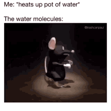 the water molecules feeling it dancing rat mouse
