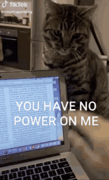No Power You Have No Power On Me GIF - No Power You Have No Power On Me GIFs
