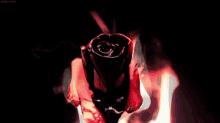 Fire Rose Withering GIF - Fire Rose Withering Flowers GIFs