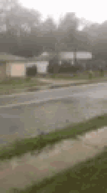 Hurricane Irma GIF - Hurricane Irma Funny GIFs