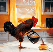 Morning Coffee GIF - Morning Coffee Rooster GIFs