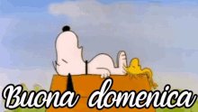 Buona Domenica Domenica Riposare Dormire Snoopy Peanuts GIF - Enjoy Your Sunday Sunday Rest GIFs