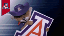 Wilbur Arizona Wildcats GIF - Wilbur Arizona Wildcats Mascot GIFs