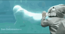 Beluga Henlo GIF - Beluga Henlo Cursed GIFs