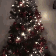 ferret christmas christmas tree winter holiday