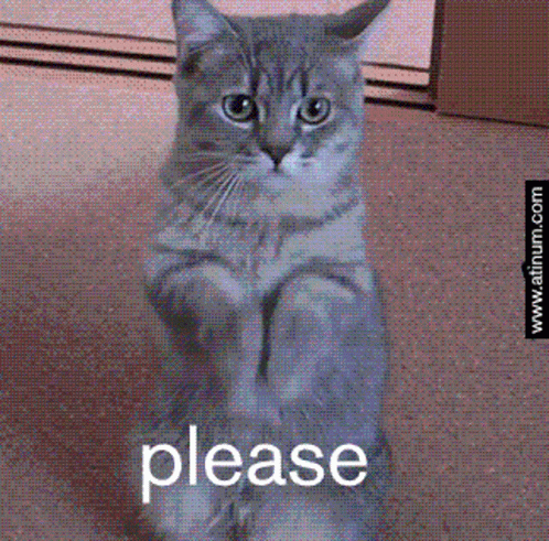 Please Beg GIF.