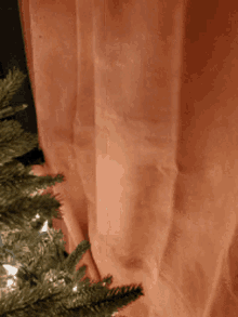 Cat Christmas GIF - Cat Christmas Tree GIFs