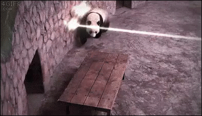 panda-action.gif