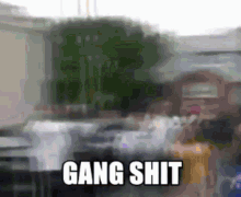 Gang Shit GIF - Gang Shit Gang Shit GIFs