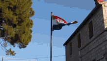 hrvatska zastava hrvatska zastava croatian flag flag