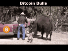 bitcoin bull market trading