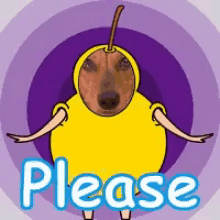 please perfavore begging funny