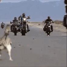 Road Runner Lets Go GIF - Road Runner Lets Go On My Way GIFs