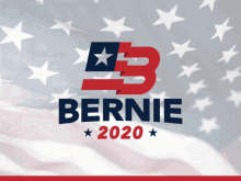 Bernie2020 GIF - Bernie2020 Bernie 2020 GIFs