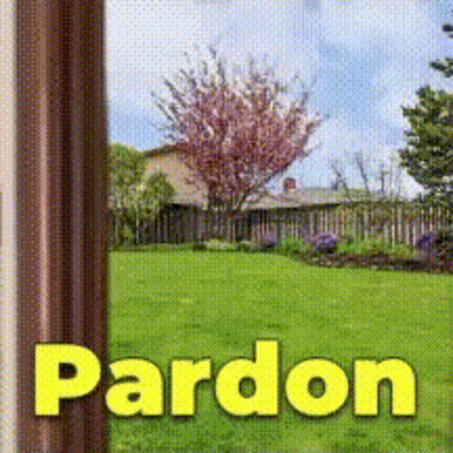 Sorry Pardon GIF - Sorry Pardon Tktpa GIFs