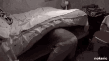 Bed Hide GIF - Bed Hide Hiding GIFs