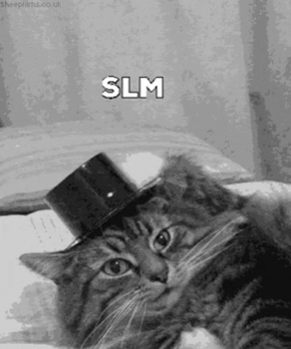 slm-cat-slm.gif
