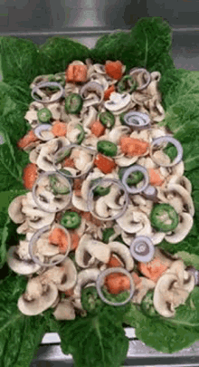 Cogumelos Salada GIF - Cogumelos Salada Acozinha GIFs