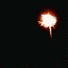 Fireworks Lights GIF - Fireworks Lights Show GIFs