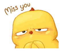 chick pio cute miss u miss you chick pio cute miss u miss you