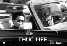 gangsta thug life fresh off the boat drive