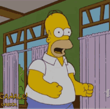 Homer Simpson The Simpsons GIF - Homer Simpson The Simpsons Excited GIFs
