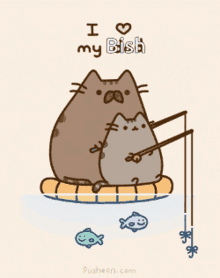 Bish Cats GIF - Bish Cats Fishing GIFs