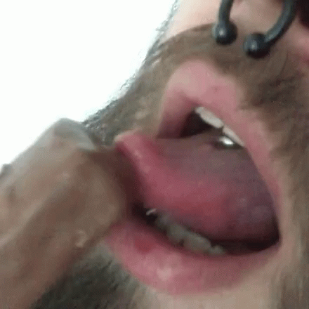 snickers-licking.gif