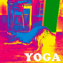 Dog Yoga GIF - Dog Yoga Downward Dog GIFs