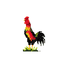 jaka rooster